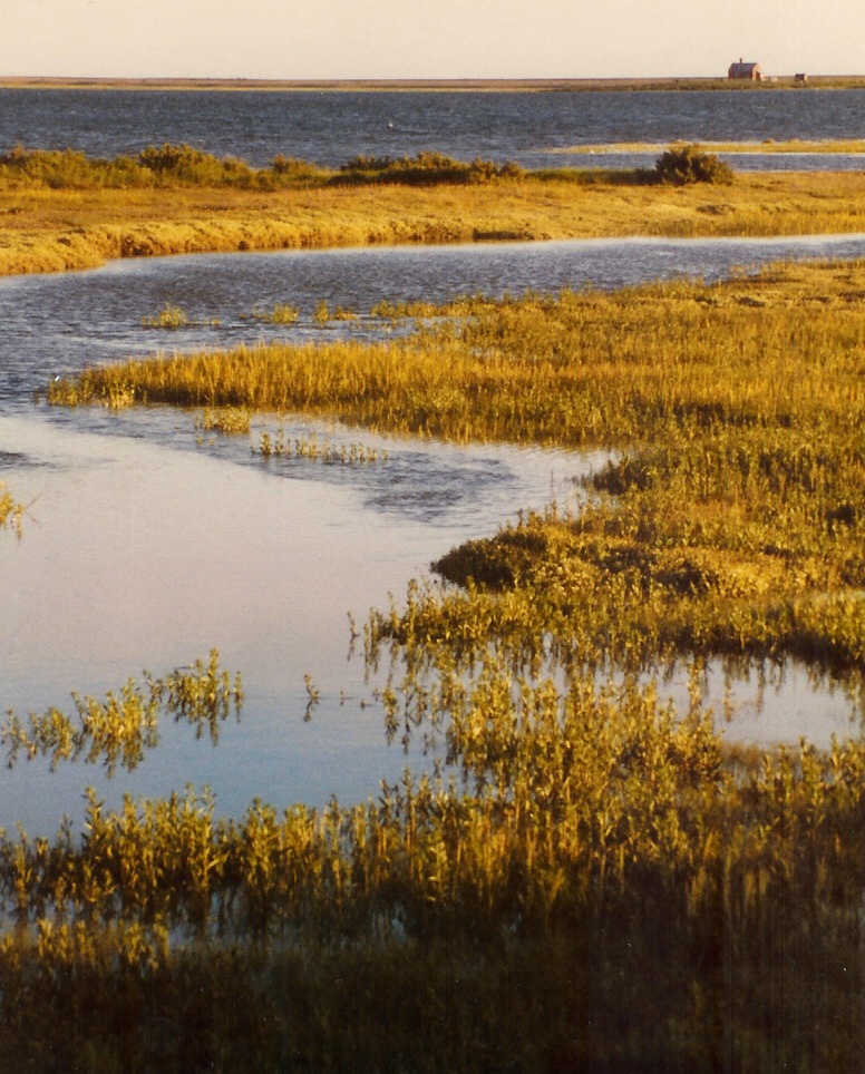 Blakeney, Norfolk